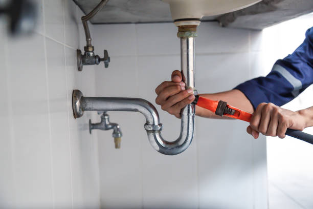 Best Local Plumber Services  in Evans City, PA